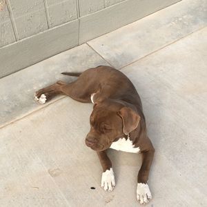 Meet your Posher, Edwin